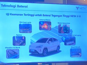 NETA V-II