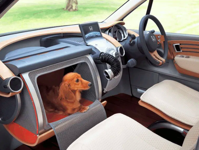 Mobil Honda Ini Jadi Impian para Pecinta Anjing